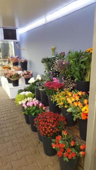 Bloemwerk op maat link.marktplaats.nl/m1211476331?ut…