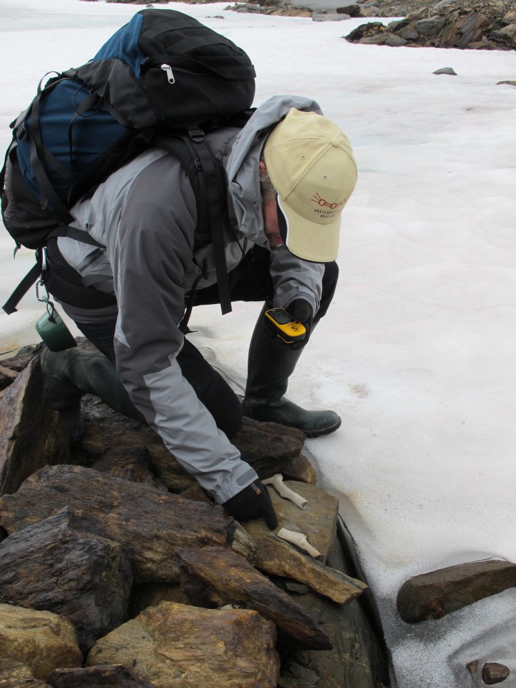 Västerbottens museum tweet media