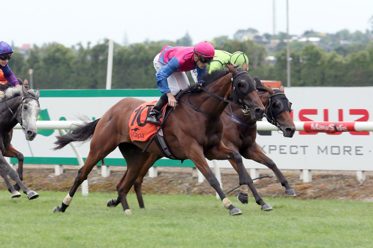 nzracingnews's tweet photo. Two race options this weekend for #LizzieLAmour as she attempts to boost her chances to make @Caulfield Cup field. https://t.co/w3N4Tynuzu https://t.co/8RezN9SGWv