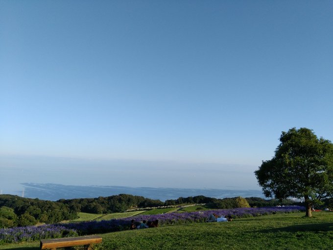黒にゃご(せな)のTwitter画像28