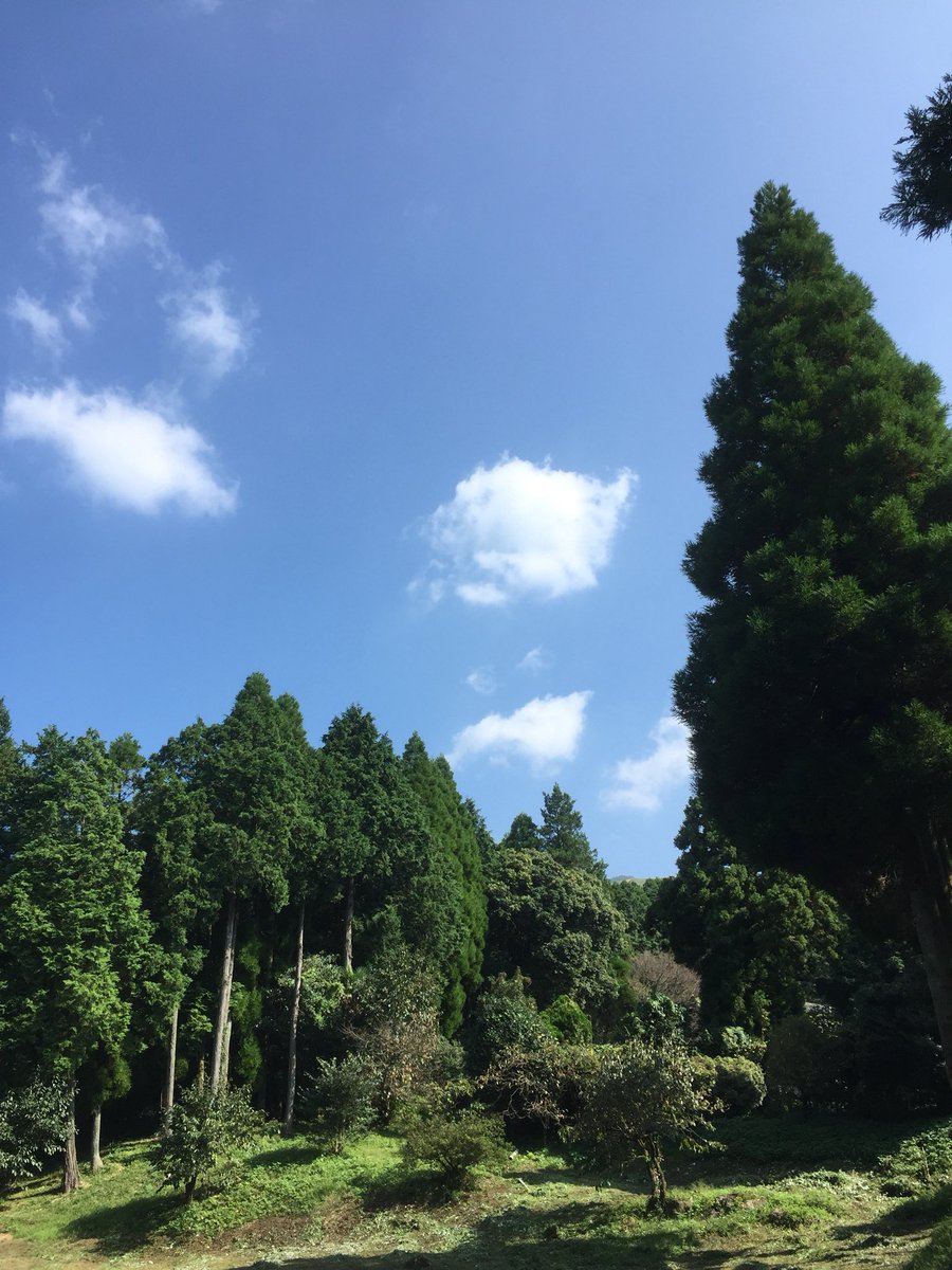 流石にママチャリで
山登りは凄まじかった😅
でもいい写真が撮れた🤳