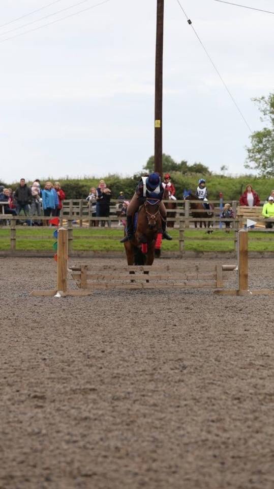 Irish_Tinker's tweet photo. 7th in our arena eventing 👌🏻🐴 https://t.co/tnzBTLTCLl