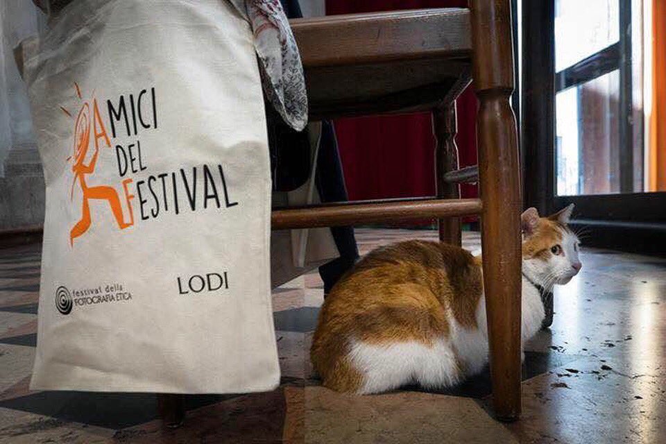 Ringraziamo tutti coloro che sono venuti a trovarci questo weekend! Vi aspettiamo i prossimi con mostre, eventi e letture portfolio #Ffe2017