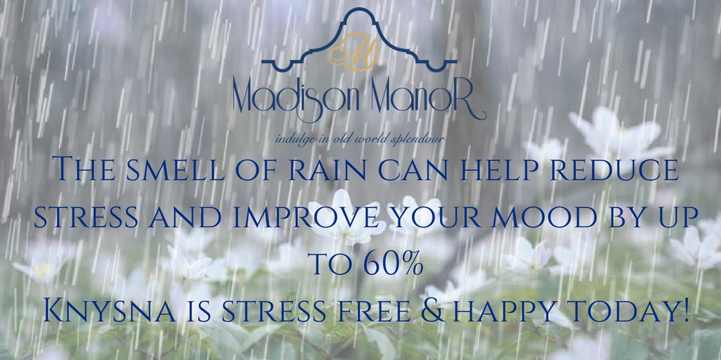 Madison_Manor's tweet photo. #RainyDay #gardenroute https://t.co/xChnaz7JoQ