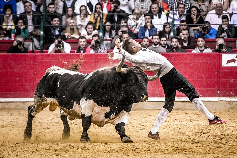 15 héroes del recorte se disputan este jueves la final del Campeonato de España en Zaragoza. ¿Quieres conocerlos? 👇
goo.gl/3mH7Lh