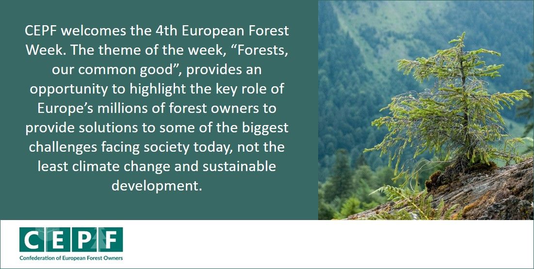 CEPF_EU's tweet photo. CEPF participates in the #EuropeanForestWeek and #Las2017 in Warsaw https://t.co/kAkt9xOOqL
