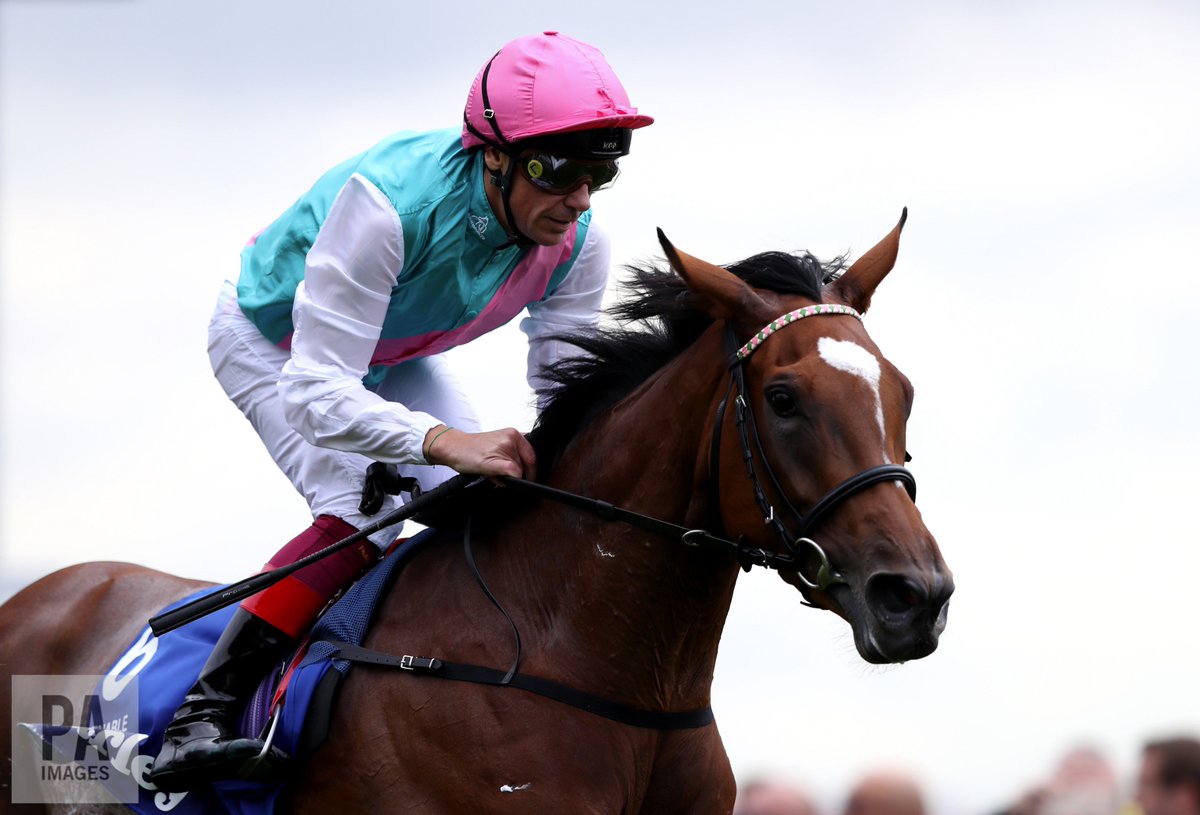 PAracing's tweet photo. #Breaking Enable will stay in training next year, @JuddmonteFarms has confirmed https://t.co/eqxhbHdz4h