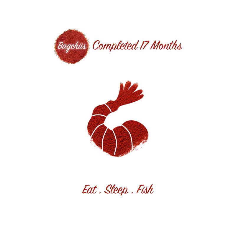 Bagchiis's tweet photo. #BagchiisCompletedSeventeenMonths 
#Bagchiisfeedright 
#deepingratitude https://t.co/kzevNMQESY