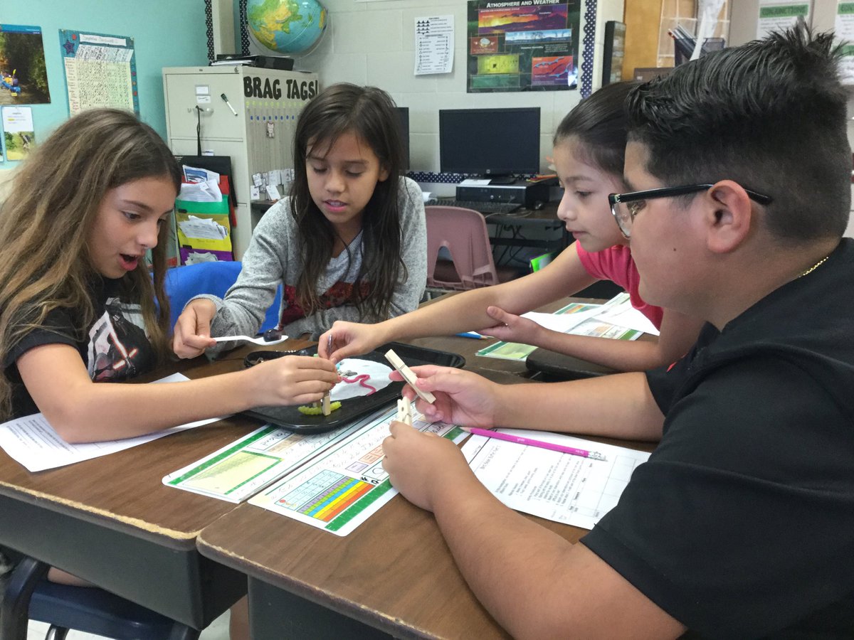 kbleamaster's tweet photo. beak adaptation explorations kids went beyond the obvious trying different combos #platform4learning@nisdBrauchle https://t.co/KEmbBb7lAN