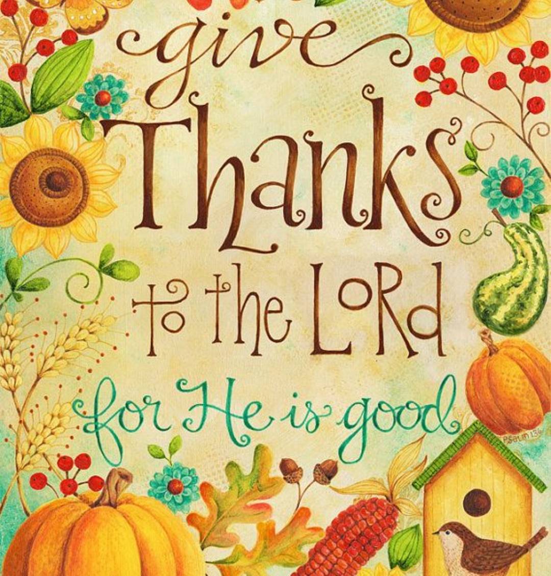 ChayilGen's tweet photo. Happy thanksgiving 🦃 :)
1 Thessalonians 5:18 https://t.co/CboXoTX7JM