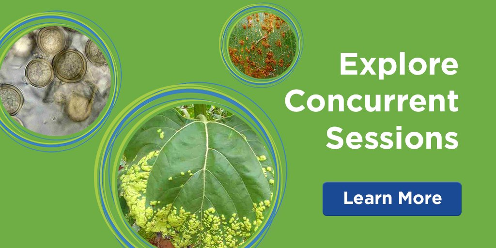 plantdisease's tweet photo. What #PlantSci &amp; #PlantPath research will be unveiled at #ICPP2018 Concurrent Sessions? Learn more >> https://t.co/WEpH2YQprh #PlantHealth https://t.co/xy2RTznH6u