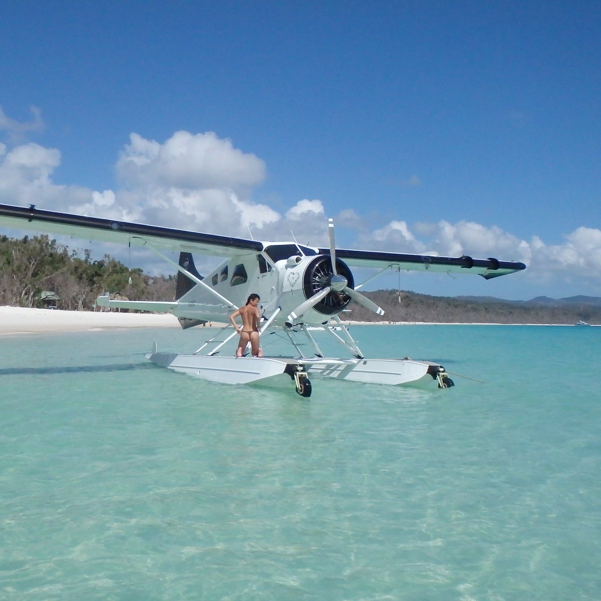 freespiritchris's tweet photo. Seaplane at Whitehaven #naturism #nudism #naturista #nudismo #FKK #familynudity #freethenipples #Australia #EMPOWER #FREEDOM #Happy #Crazy https://t.co/gd9fJ7EQ9V