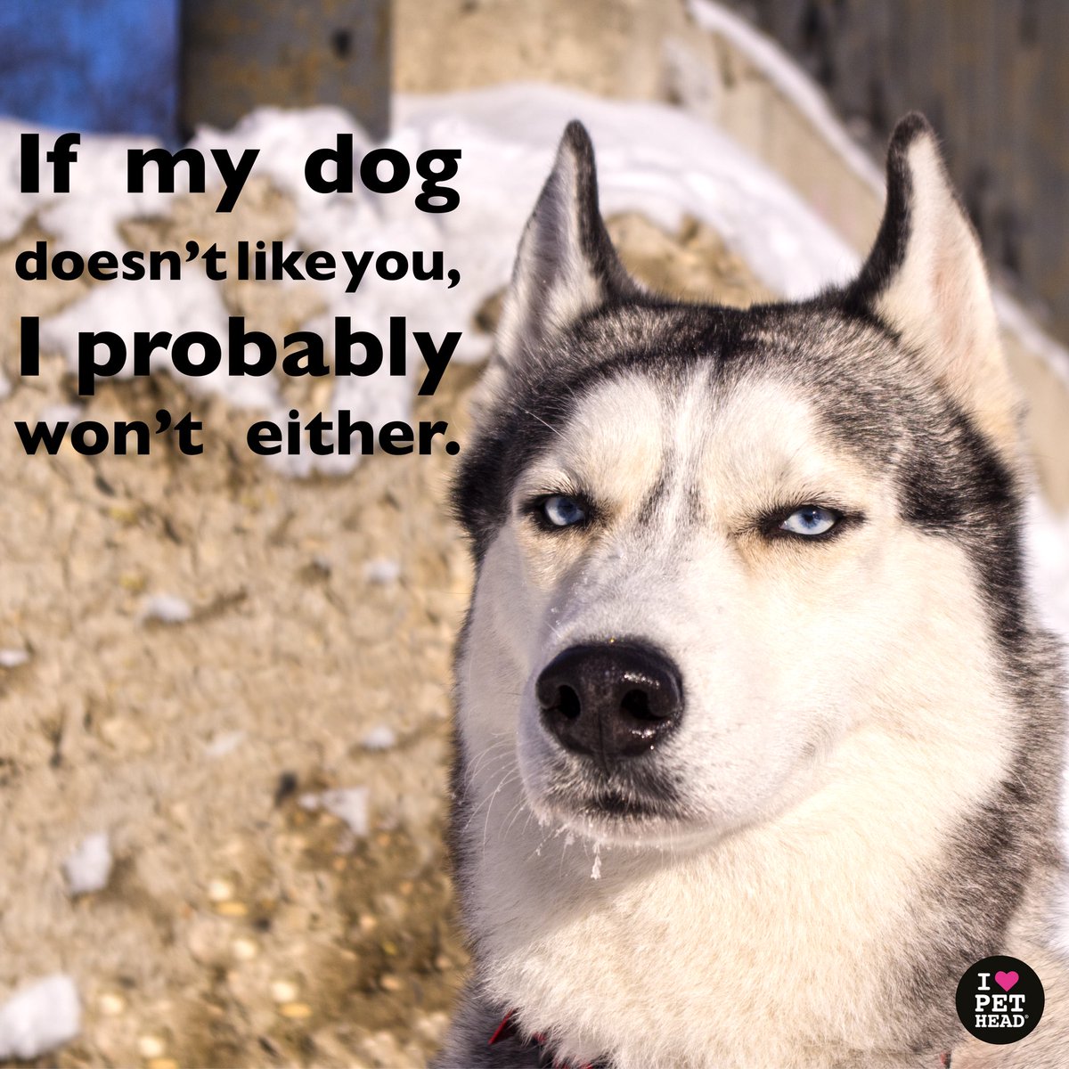 And they're always right.