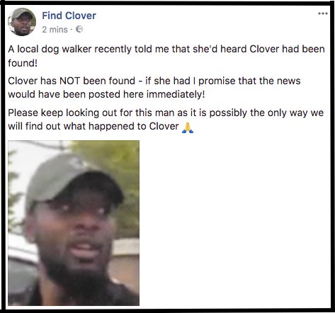 Find Clover tweet media