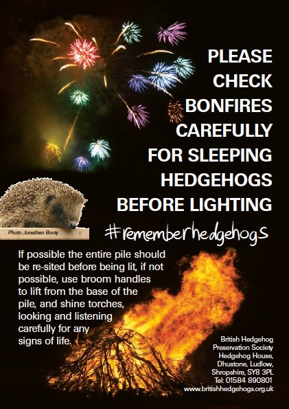 hedgehogsociety's tweet photo. If you're planning a bonfire please #rememberhedgehogs &amp; please R/T to bonfire event organisers to ask them to look out for the 'hogs too! https://t.co/xly5kFQVCG