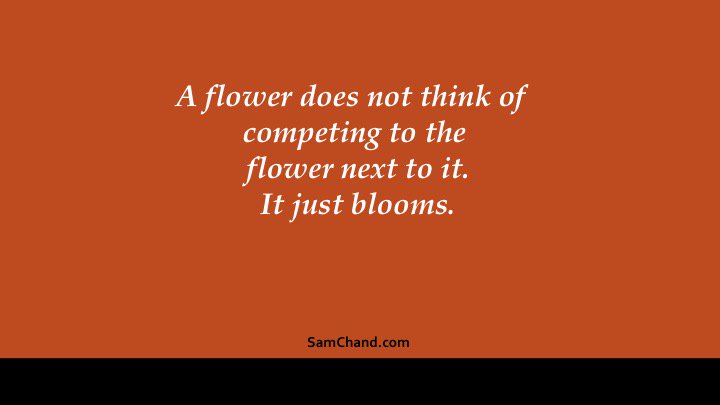 samchand's tweet photo. A flower.

https://t.co/6XT9xUSyQ6 https://t.co/CASTsXBhoI