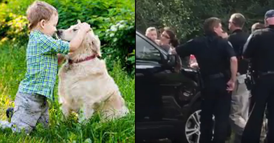 ladbible's tweet photo. Family dog stays with missing toddler in woods until boy is found. https://t.co/lkWcVpIxgK https://t.co/kglrRTJipU