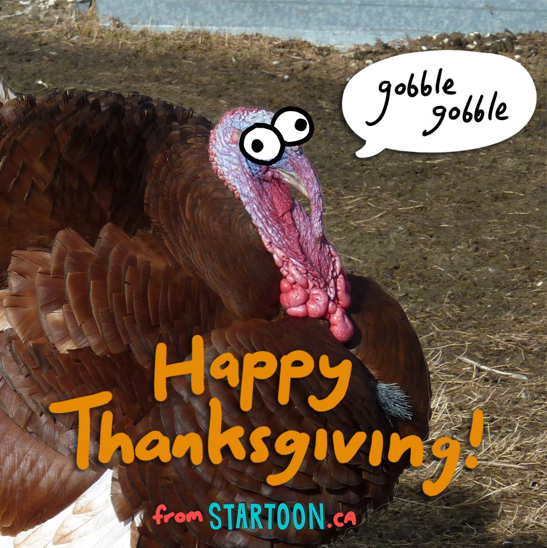 Startoon tweet media