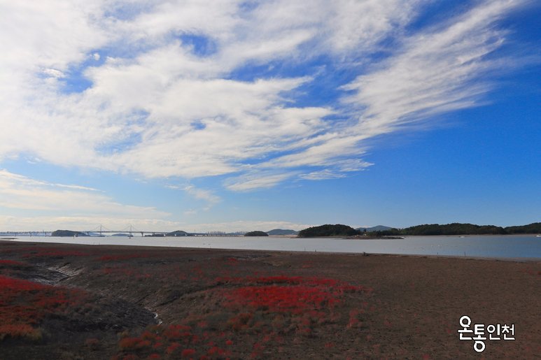 🙌여행_
추석여행 인천 서해의 작은 섬, 세어도
출처 : 온통인천 | 네이버 포스트
↪(클릭)naver.me/xsrfBzsj