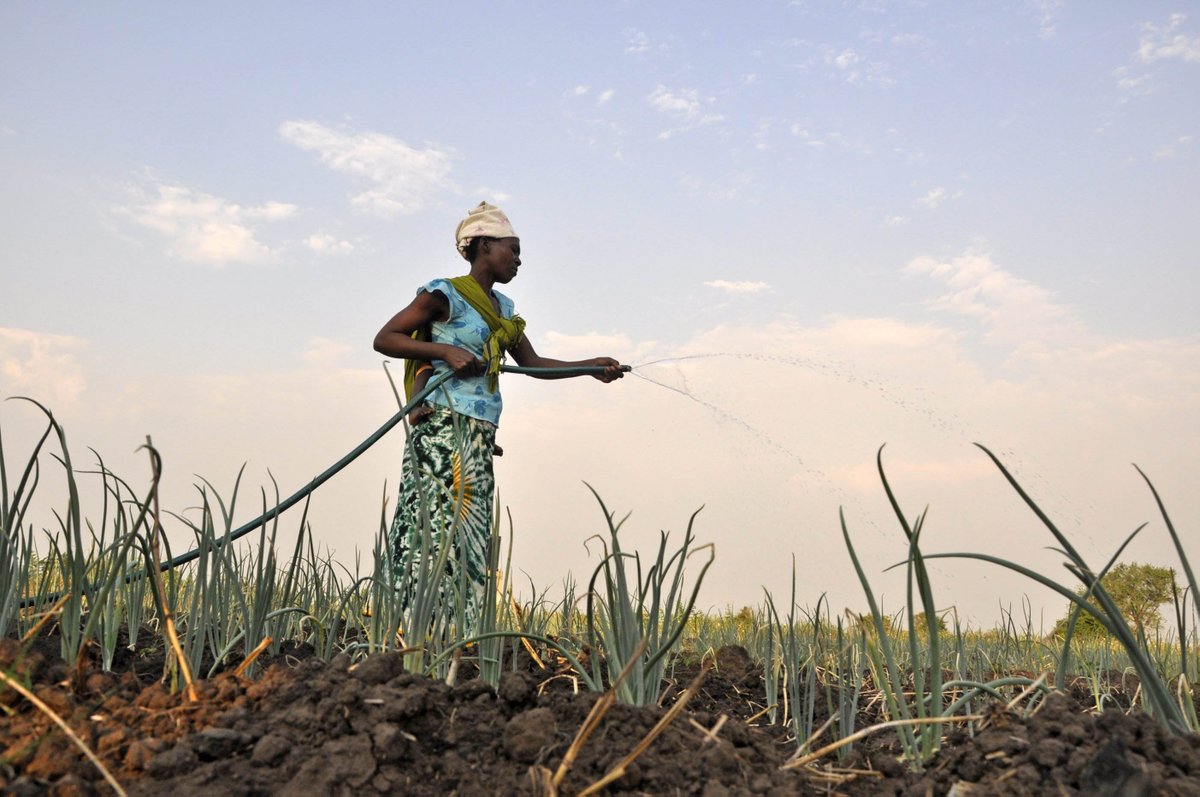 New #toolbox: #Solarpowered #Irrigation #Systems (#SPIS) water-energy-food.org/resources/deta… by @PoweringAg <a href="/USAID/">USAID</a> <a href="/BMZ_Bund/">Bundesentwicklungsministerium</a> <a href="/Sida/">Sida</a> <a href="/DukeEnergy/">Duke Energy</a> <a href="/opicgov/">chris thurlow</a>