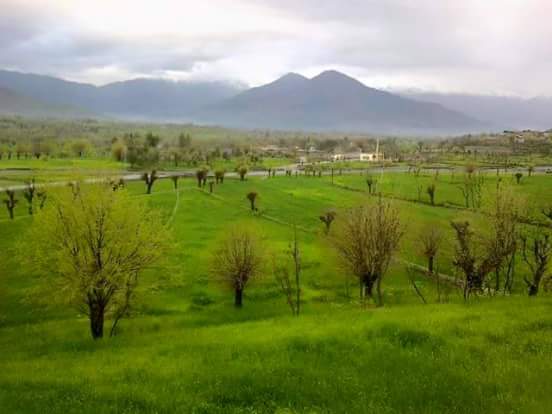 BilotiBashir's tweet photo. #FataDharna bajaur agency fata is soo beatifull place for see the beauty of our village bilot tourists we want to see it https://t.co/p6Ifx8c7ZD