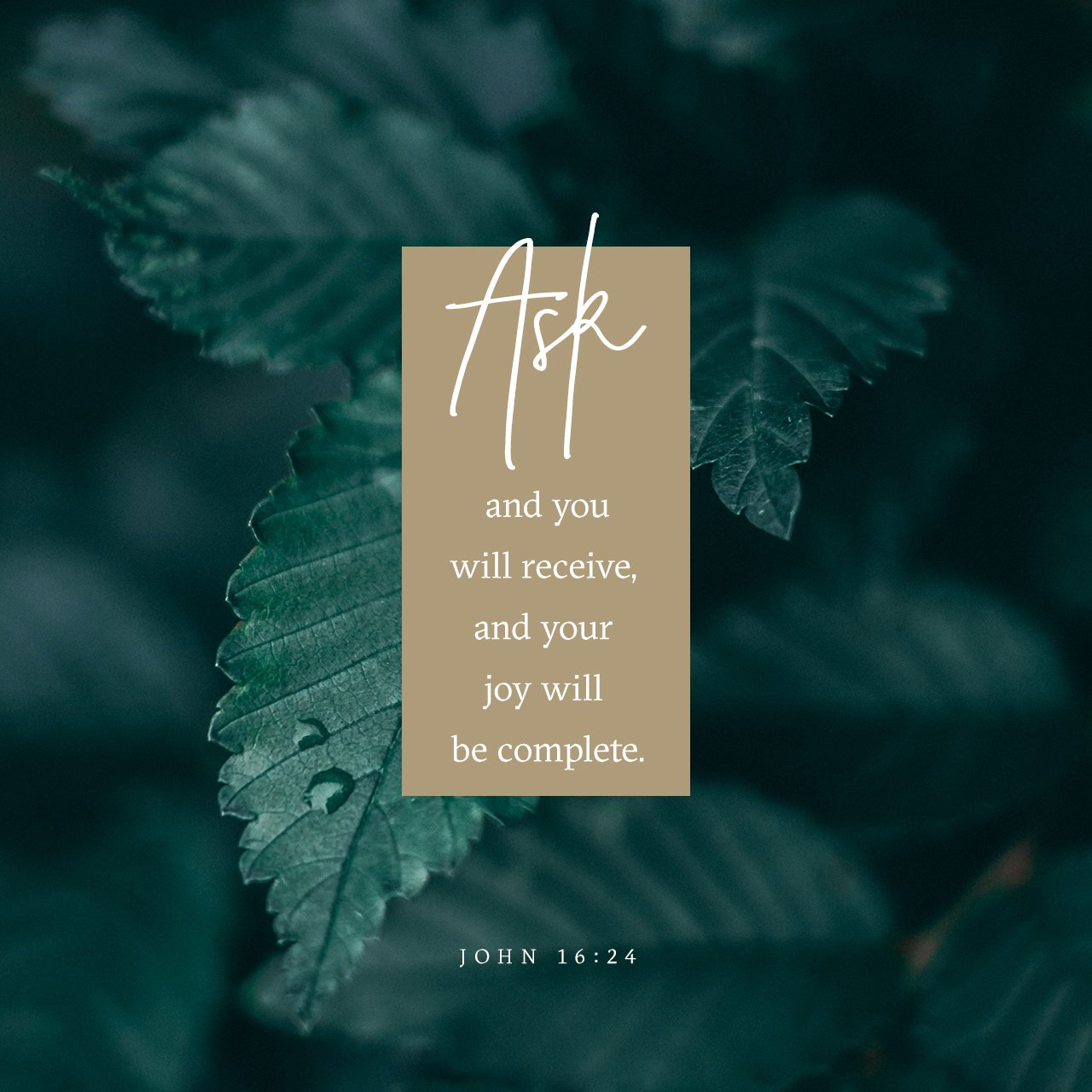 Daily Bible Verse on Twitter: "Until now you have not asked for