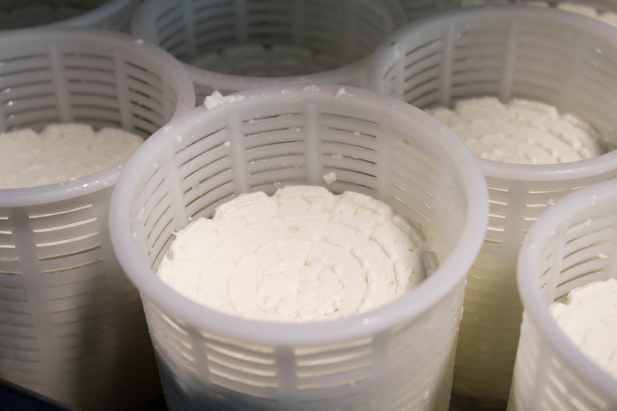 MadridCalidad's tweet photo. Las condiciones en las que vive el rebaño de @ampanera les permite obtener una leche de excelente calidad. Elaboran 🧀, yogures y kefir. https://t.co/mpcudbr1UB