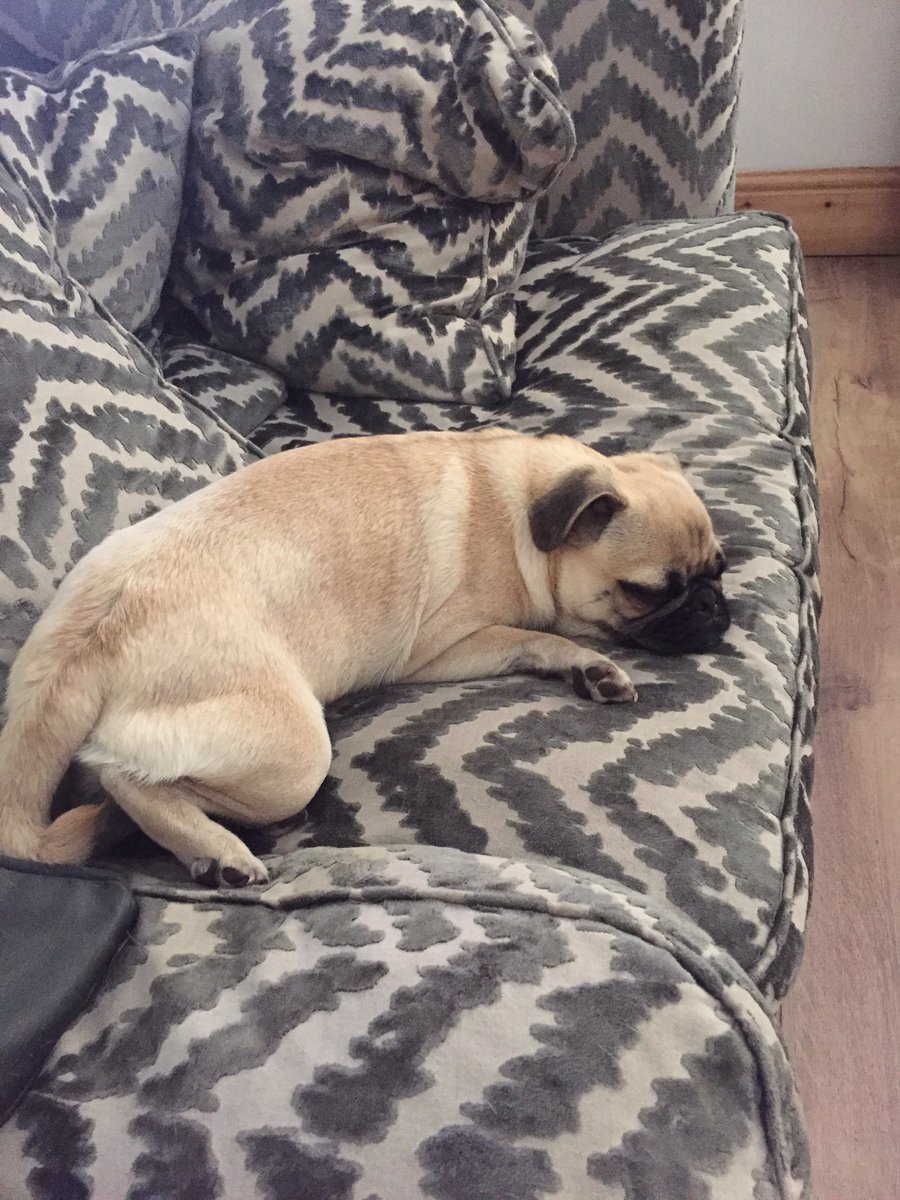 blurton_leanne's tweet photo. I am so happy to say we have our bby girl back home where she belongs 🐶🐶🐶😁😁😁😥😥😥 so emotional right now ❤️️❤️️❤️️❤️️ https://t.co/QEwGkj4UpL