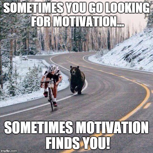 In need of some #mondaymotivation?
