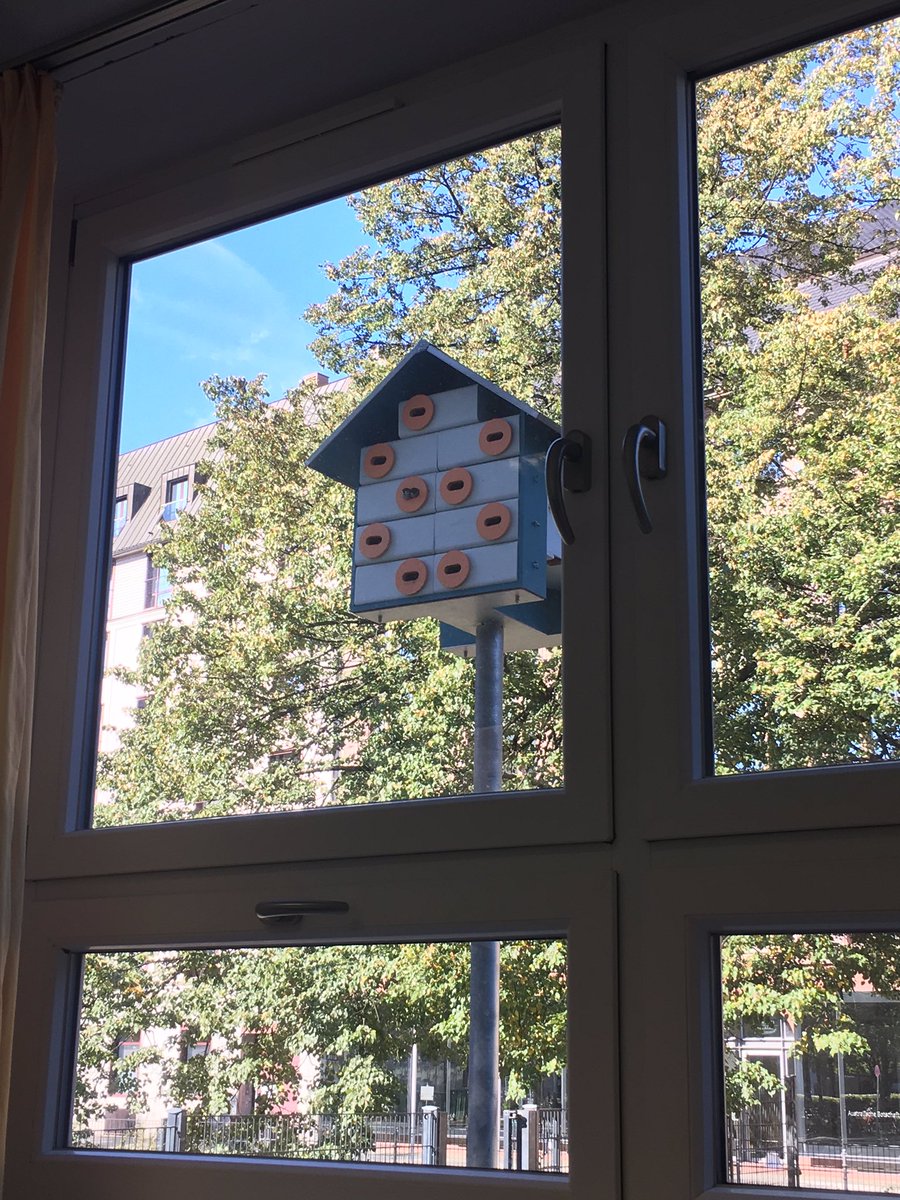 TJ0N3S's tweet photo. Baby birds peeking out of a student-built bird house in Berlin. #SVT2017 https://t.co/Jc8tl7Bk6E