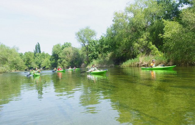TRANSBRAVA kayak & paddle SUP tweet media