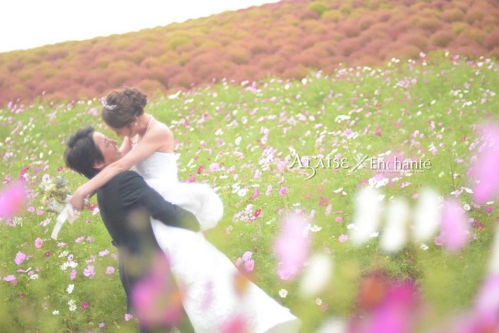 Twitter 上的 アンシャンテ Enchante 株式会社 小野写真館 今日のお写真はひたち海浜公園から 色が変わり始めたコキアの手前には一面のコスモスが 花畑の中で幻想的な1枚です アンシャンテ ウェディングフォト Japan Weddingphotographer アンシャンテ