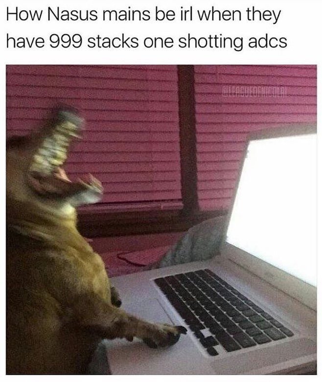 ExplicitNerdity's tweet photo. TRUE 😂 #leagueoflegends #leagueoflegend #leagueoflegendsmemes #leaguevines #leagueoflegendscosplay #gamer #games #gaming #gamergirl… https://t.co/qfIgpLEqrB