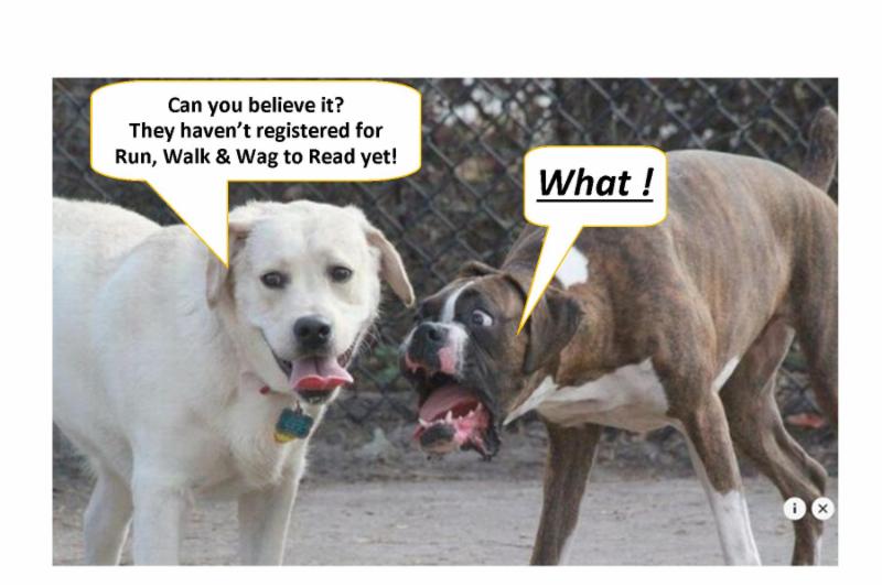 macombliteracy's tweet photo. Macomb Literacy Partners has  gone to the dogs! https://t.co/w026qI9wCv https://t.co/JfNGb5Vfdo