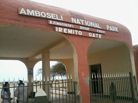 MuritsiMark's tweet photo. #twendeAmboseli #tembeakenya  #camping #camp #partyinthebush https://t.co/SER1wYni1f