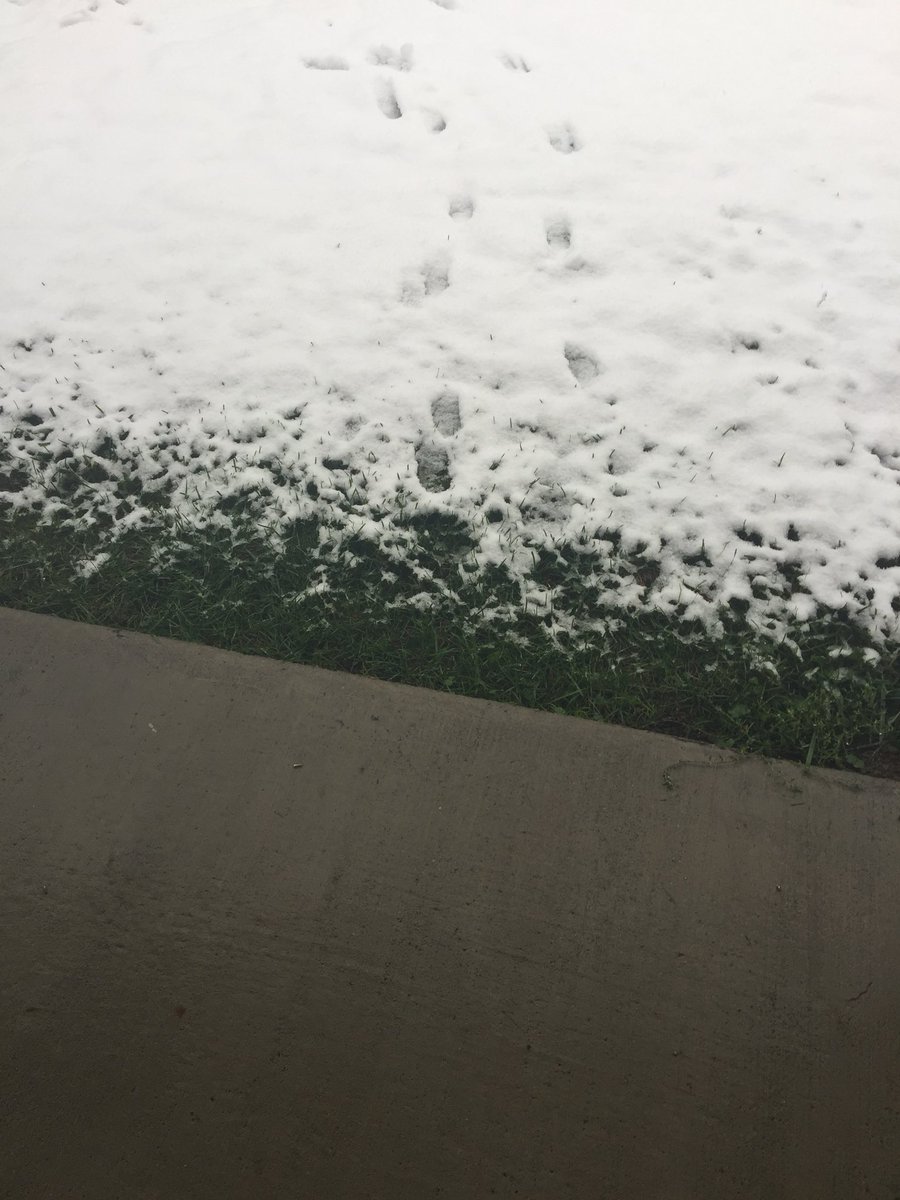 EmeraldZoo's tweet photo. And overnight #Denver went from late summer to #Winter but thatโs ok itโll be 70โs in a couple days! #GoHomeNature #YourHigh ๐ https://t.co/QGF1qC6nh1