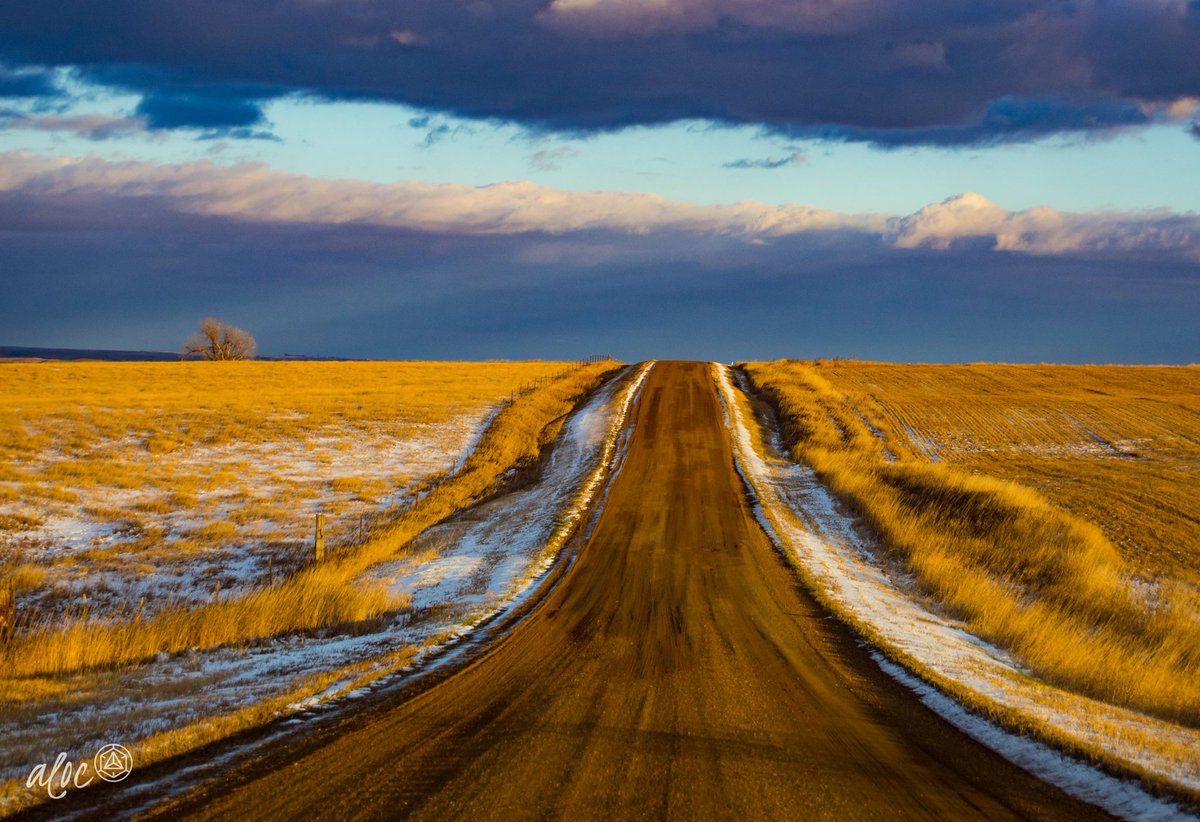 Snow is in the forecast for #Boulder today! ☃️❄️ Hop on our web page if you're snowed in!
alocmedia.com/portfolio/
#alifeofchoice #snowday