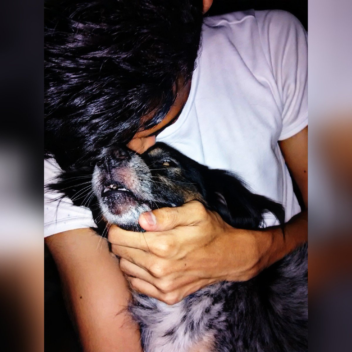 SNDRrap's tweet image. Te voy a extrañar ney🐕😭