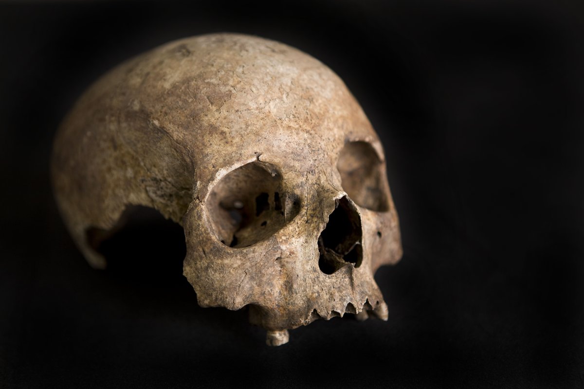 YorkshireMuseum's tweet photo. What impact did the #Romans make in #York? Explore our fascinating finds including the #IvoryBangleLady. https://t.co/EALUEcEcOG https://t.co/sv4klqV8nu