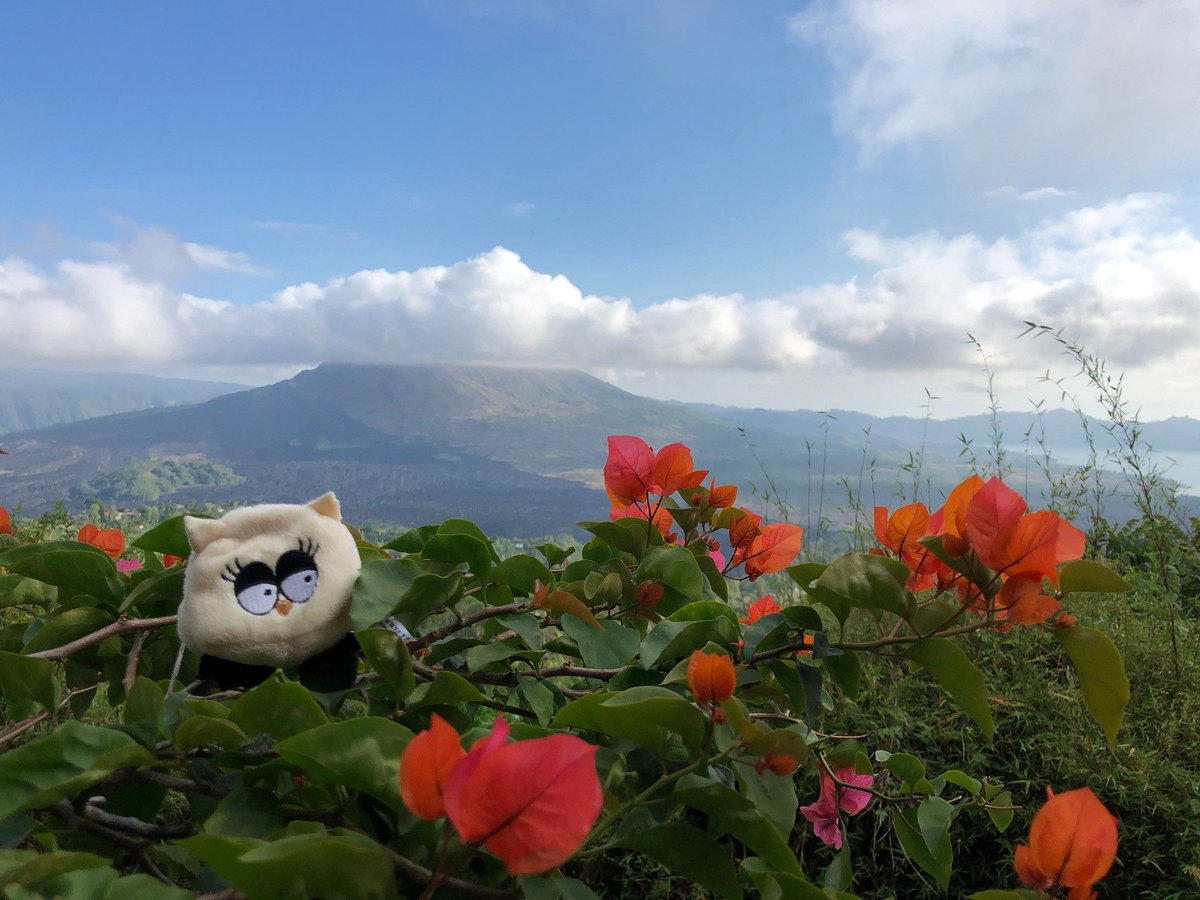 Eule_Isa's tweet photo. Heute Nacht geht es auf den #Batur in #Bali #Indonesien 😍Hoffentlich verzieht sich die doofe Wolke, sonst sehen wir den Sonnenaufgang nicht! https://t.co/D4N9zwUxVA
