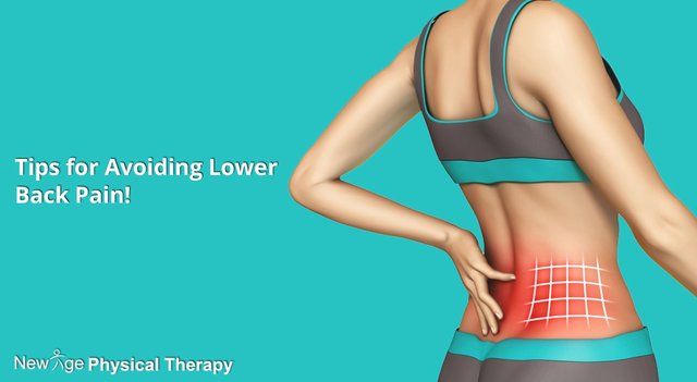 NewAgePT's tweet image. Tips for Avoiding Lower BackPain!
Read more @ goo.gl/Jdvxmg
#LowerBackPain #BackPainTherapy #PhysicalTherapy #Healthcare #NewAgePT