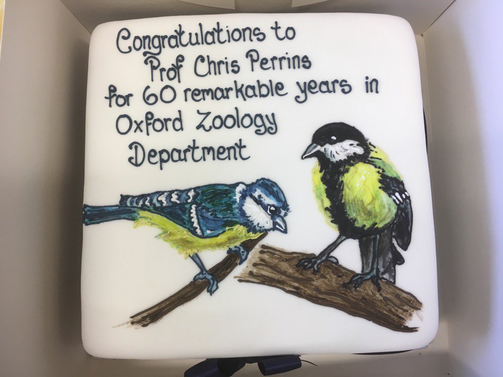 Wytham Tit Study (@wythamtits) on Twitter photo Celebrated 60 years of Chris Perrins in the department with an appropriately-themed cake this morning! Celebrated 60 years of Chris Perrins in the department with an appropriately-themed cake this morning!