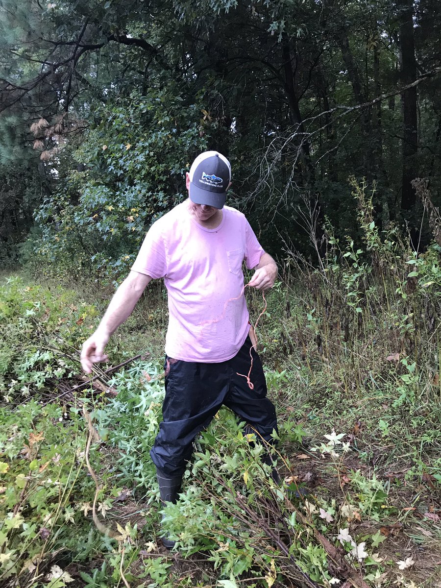 AcklandArt's tweet image. Rumor has it that #patrickdougherty has selected a design for the Ackland's #stickwork sculpture