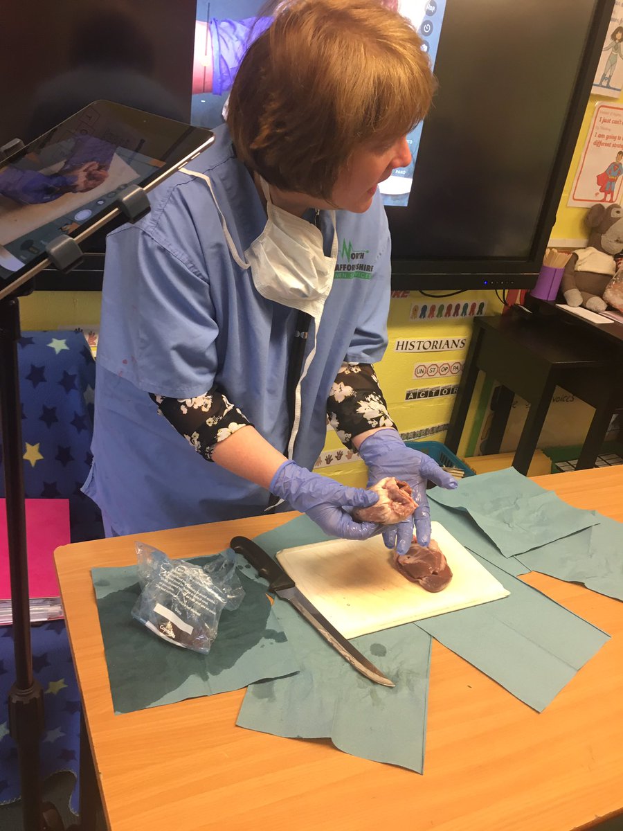 ElmWoodHead's tweet photo. We are operating on @ollyofficial heart today to stop it from skipping a beat!! #Olly #SaveOlly @BCPS_MrsG https://t.co/BhNC6l44k9