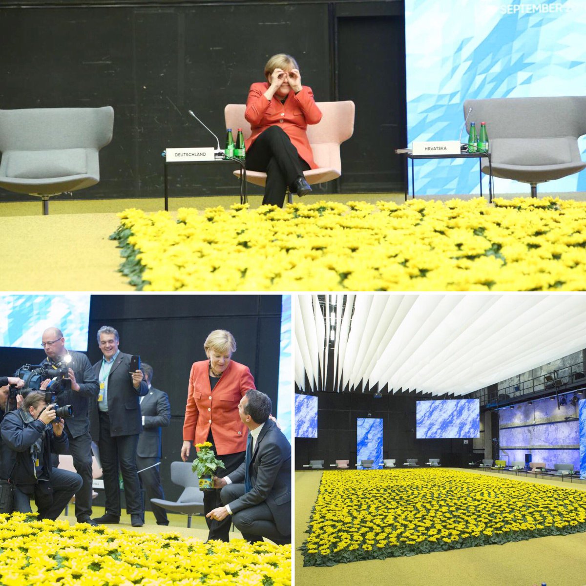 Hoe gaan we deze Zonnebloemen eerlijk verdelen? Trotse leverancier Kwekerij C&amp;M Kester.
Mooie product promotie! #Helianthus