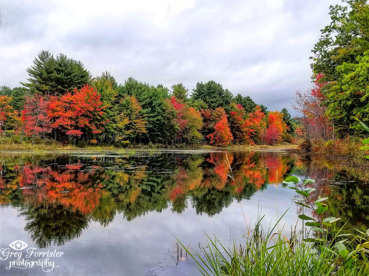 GregForrister's tweet photo. Green's Pond Fitchburg, MA yesterday.  #Foliage really starting to pop.  @ShiriSpear @ReedTimmerAccu @JimCantore @MikeTheiss @mikeseidel https://t.co/zHryhyQ6W0
