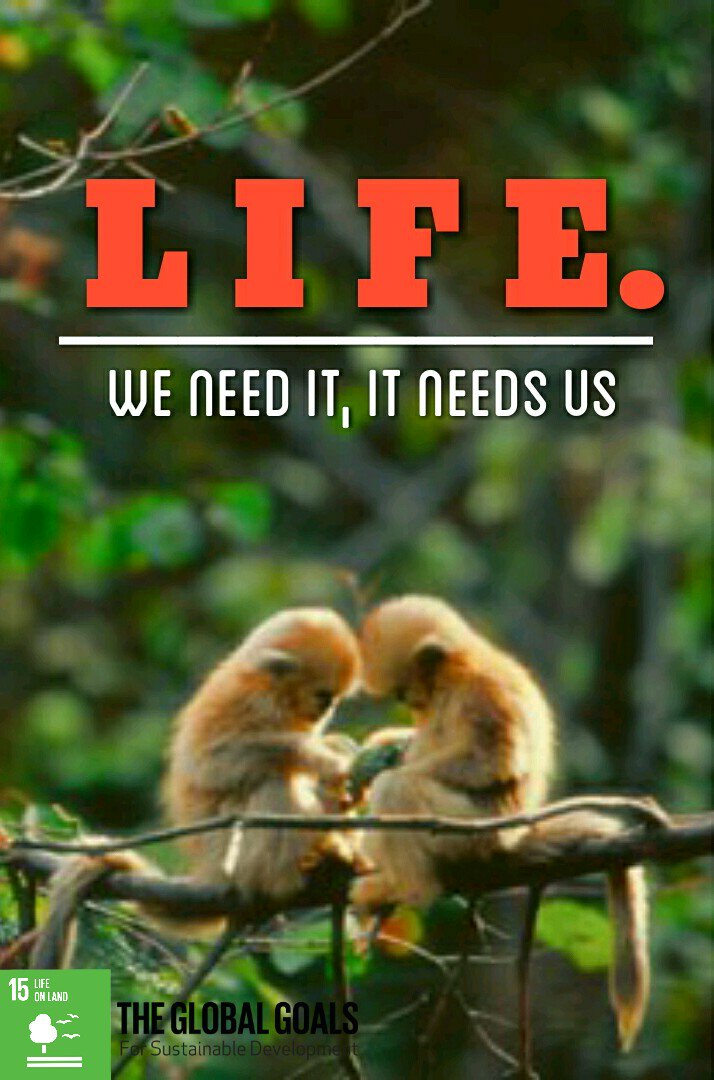 Fr. Michael Boym tweet media