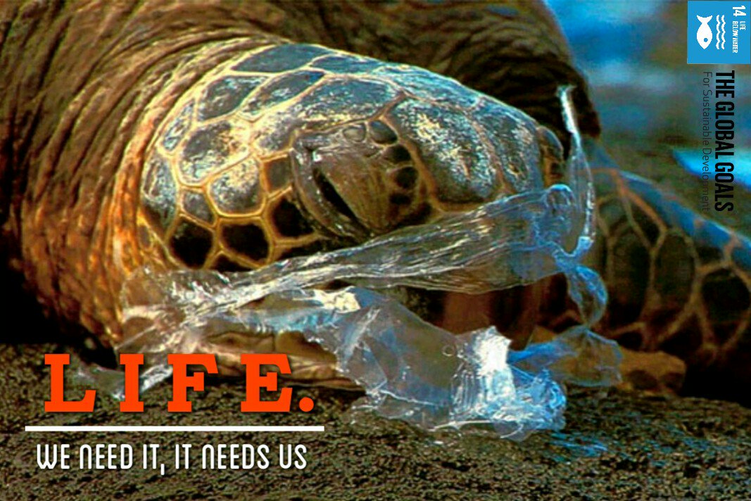 Fr. Michael Boym tweet media