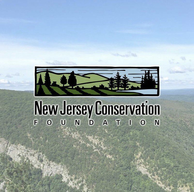 NJLandRally's tweet photo. Care about our future? If you have an idea reach out and get your voice heard! Submit a workshop proposal today here https://t.co/VmGZxnjaxn https://t.co/wgFBZkTSMC