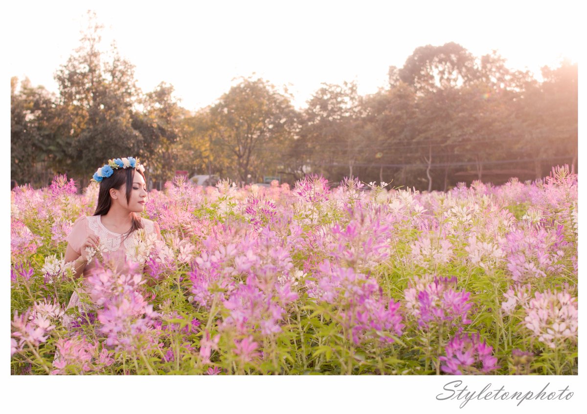 masterbpp's tweet image. 